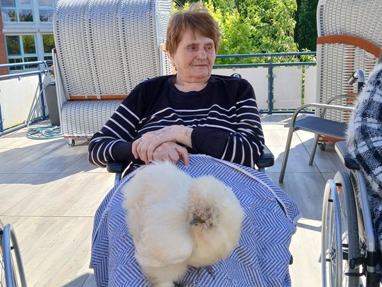 Eine ältere Frau sitzt im Rollstuhl auf einer Terrasse und hält ein flauschiges, weißes Huhn auf ihrem Schoß.